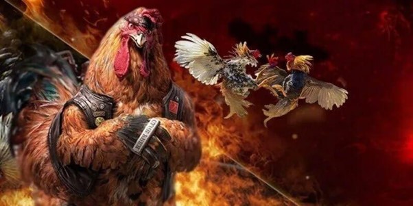 Đá Gà Az888 – Khám Phá Những Giải Đấu Hấp Dẫn Hàng Đầu
