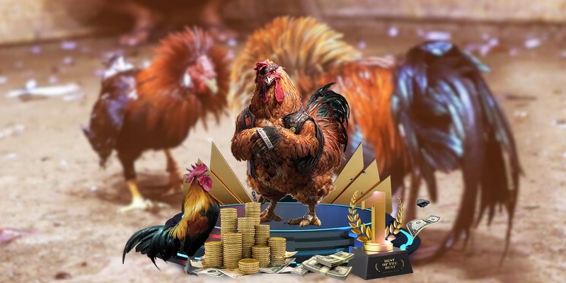 Rikbet – Trải Nghiệm Cá Cược Đỉnh Cao Với Đá Gà sới gà online