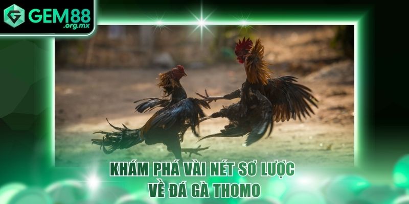 kham pha vai net so luoc ve da ga thomo