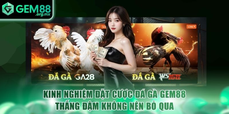 kinh nghiem dat cuoc da ga gem88 thang dam khong nen bo qua