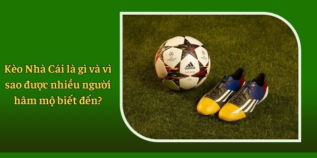Kèo Nhà Cái là gì và vì sao được nhiều người hâm mộ biết đến?