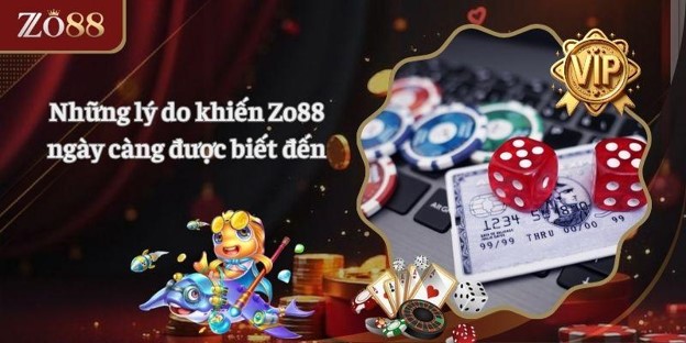 Những lý do khiến Zo88 ngày càng được biết đến