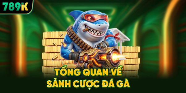 Đá Gà 789K Khám Phá Sảnh Đấu Cách Theo Dõi Và Quản Lý Vốn